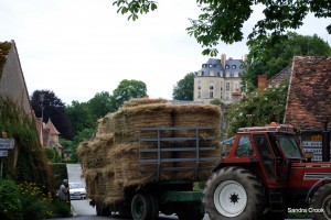 hay-bales-sandra-c