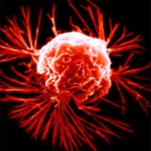 cancer-cells_15